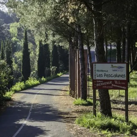 Two Bedroom Chalet In Located In The Heart Of A Pine Forest 196 Σαλέ *